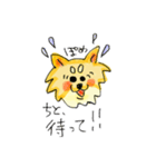 ポメちゃんの日常使いスタンプ（個別スタンプ：11）