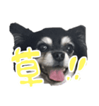 せぇくんのスタンプ！！（個別スタンプ：2）