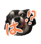 せぇくんのスタンプ！！（個別スタンプ：3）