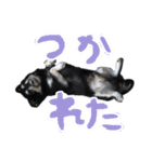 せぇくんのスタンプ！！（個別スタンプ：4）