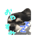 せぇくんのスタンプ！！（個別スタンプ：5）