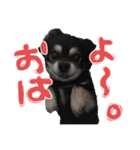 せぇくんのスタンプ！！（個別スタンプ：8）