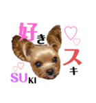 REO＆RAITO（個別スタンプ：6）
