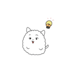 けせぱさいぬ（個別スタンプ：8）
