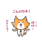 英語・中国語・日本語★猫の抹布部長（個別スタンプ：1）
