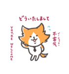 英語・中国語・日本語★猫の抹布部長（個別スタンプ：4）