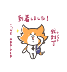 英語・中国語・日本語★猫の抹布部長（個別スタンプ：16）