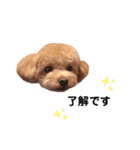 maru ✱eight✱（個別スタンプ：1）