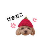 maru ✱eight✱（個別スタンプ：2）