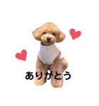maru ✱eight✱（個別スタンプ：3）