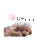 maru ✱eight✱（個別スタンプ：4）