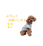 maru ✱eight✱（個別スタンプ：5）