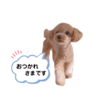 maru ✱eight✱（個別スタンプ：7）