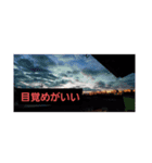 青春(空)（個別スタンプ：11）