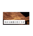 青春(空)（個別スタンプ：14）