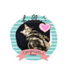 みぬ（個別スタンプ：1）
