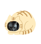 みぬ（個別スタンプ：3）