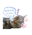 緑の目（個別スタンプ：2）