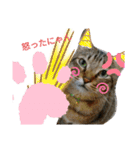 緑の目（個別スタンプ：3）