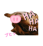緑の目（個別スタンプ：8）