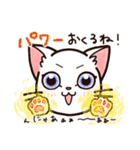 CAT.C 頑張るあなたへ 癒しにゃんこ 1（個別スタンプ：22）