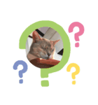 ねこの気持ち1（個別スタンプ：6）