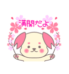 お花見の計画を立てるわんこスタンプ（個別スタンプ：14）