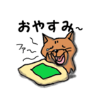 柴犬 赤だわん（個別スタンプ：2）