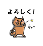 柴犬 赤だわん（個別スタンプ：5）