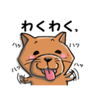 柴犬 赤だわん（個別スタンプ：6）