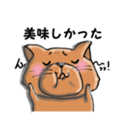 柴犬 赤だわん（個別スタンプ：9）
