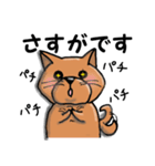柴犬 赤だわん（個別スタンプ：15）