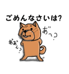 柴犬 赤だわん（個別スタンプ：16）