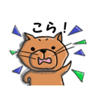 柴犬 赤だわん（個別スタンプ：17）