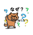 柴犬 赤だわん（個別スタンプ：18）