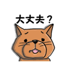 柴犬 赤だわん（個別スタンプ：20）