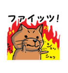 柴犬 赤だわん（個別スタンプ：24）