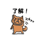 柴犬 赤だわん（個別スタンプ：27）