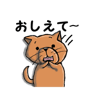 柴犬 赤だわん（個別スタンプ：28）