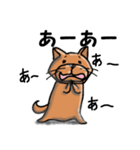 柴犬 赤だわん（個別スタンプ：29）