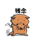 柴犬 赤だわん（個別スタンプ：30）