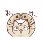 菊次郎と夏（個別スタンプ：1）