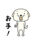 犬のわさびちゃん（個別スタンプ：1）