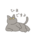きいろめにゃんこ（個別スタンプ：3）