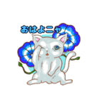 ねこことば〈日常会話編〉（個別スタンプ：1）