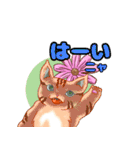 ねこことば〈日常会話編〉（個別スタンプ：8）
