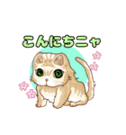 ねこことば〈日常会話編〉（個別スタンプ：13）