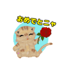 ねこことば〈日常会話編〉（個別スタンプ：16）
