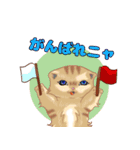 ねこことば〈日常会話編〉（個別スタンプ：19）