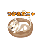 ねこことば〈日常会話編〉（個別スタンプ：29）